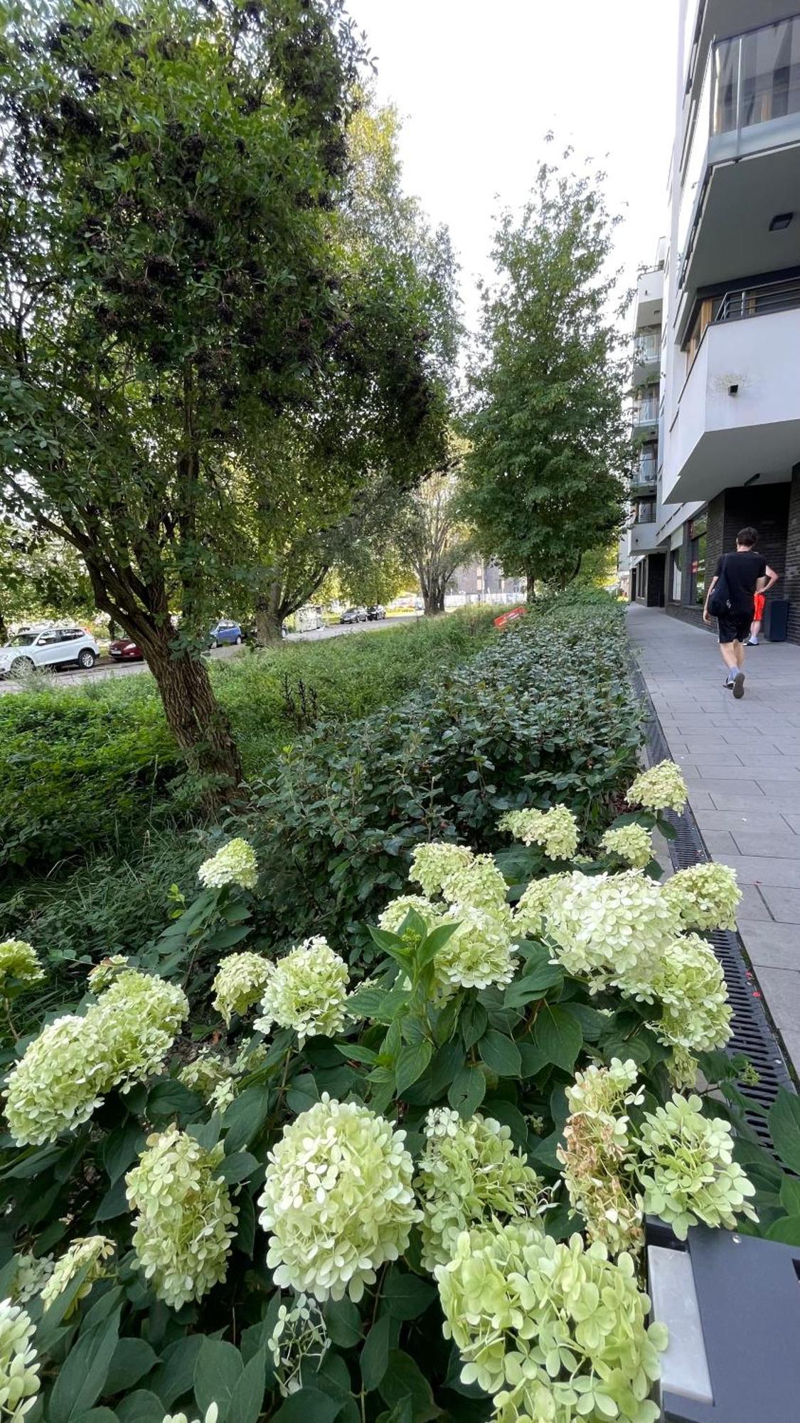 Apartamenty Warszawa Centrum Wlodarzewska 30 المظهر الخارجي الصورة